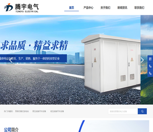 宜昌腾宇电气设备制造有限公司