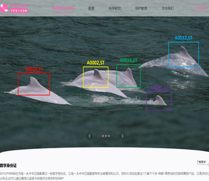 爱海豚公益计划