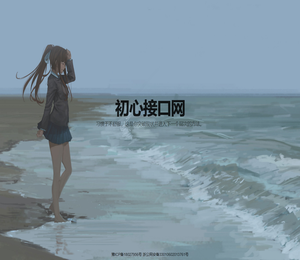 初心接口网