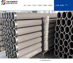 广东新力新材料有限公司