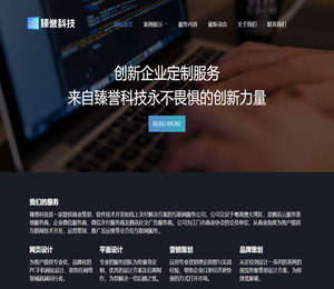 臻誉信息科技有限公司