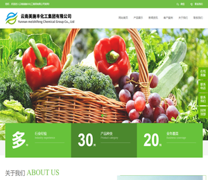 云南美施丰化工集团有限公司