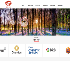 广州市奥雪化工有限公司