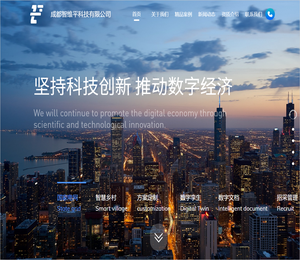 成都智维平科技有限公司