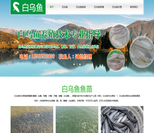 白乌鱼