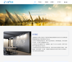 上海大服数据技术有限公司