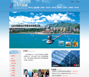 山东天陆新会计师事务所有限公司