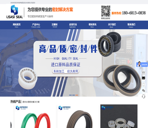 泛塞封,密封圈定制,进口品质密封定制生产与销售就选苏州利萨斯密封技术有限公司