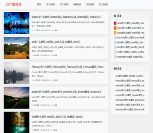 CET英语单词网