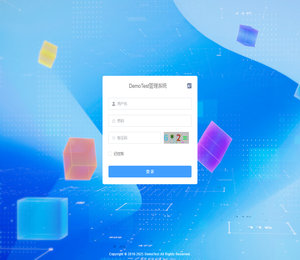 DemoTest管理系统