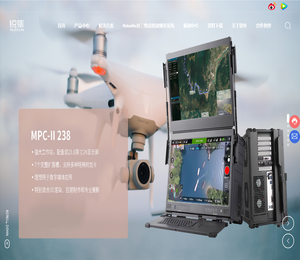 锐隼（天津）科技发展有限公司