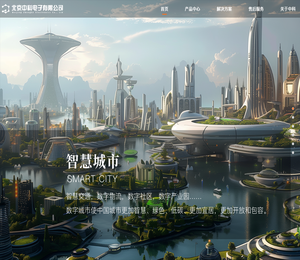 北京中科电子有限公司