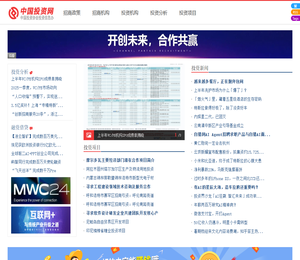中国投资网