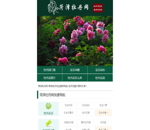 菏泽牡丹网