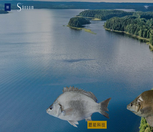 深圳市腮能科技有限公司