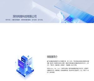 深圳纯维科技有限公司
