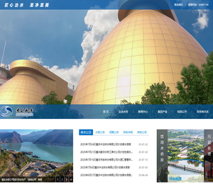 重庆水务集团股份有限公司