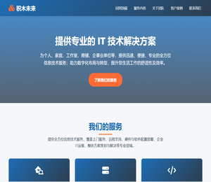 积木未来信息技术服务