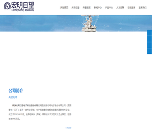 株洲宏明日望电子科技股份有限公司