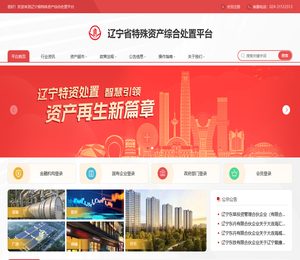 辽宁省特殊资产综合处置平台