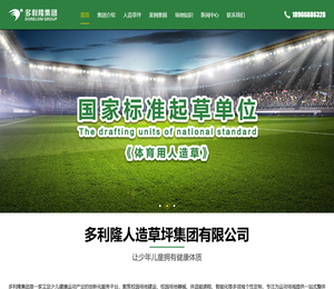 多利隆人造草坪集团有限公司