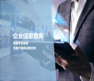 企业信息查询