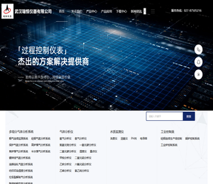 武汉瑞恒仪器，气体分析仪,多组分气体分析系统