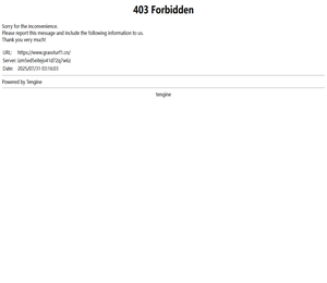 武汉特高压电力科技有限公司