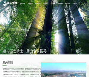 安徽强英食品集团有限公司