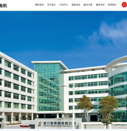 广东超力电机股份有限公司