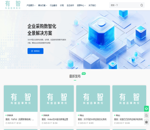 深圳市有智科技有限公司