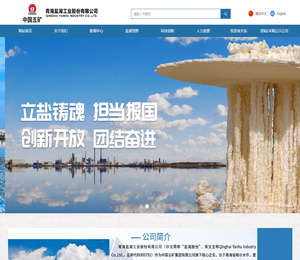 青海盐湖工业股份有限公司