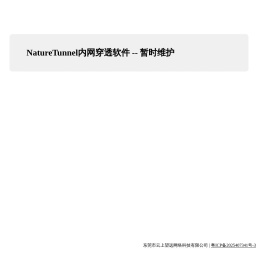NatureTunnel内网穿透软件