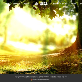 大连澳华进出有限公司,大型医疗诊断设备，注射穿刺器械，医用电子仪器设备，医用高分子材料，血液净化耗材，医用高分子制品，