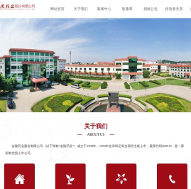 金陵药业股份有限公司