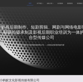 东阳市小蚂蚁文化影视传媒有限公司