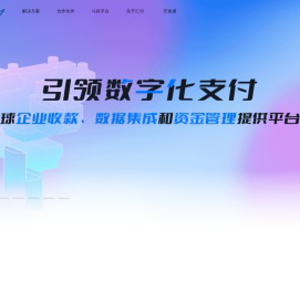 引领数字化支付
