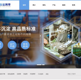 安徽福仕达网带有限公司