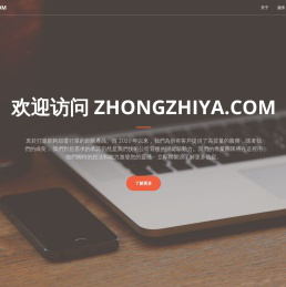 zhongzhiya.com