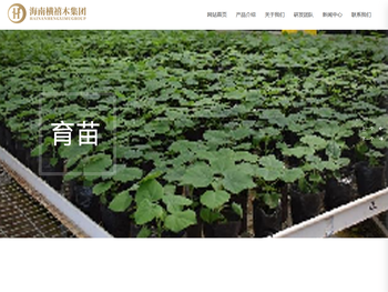 海南横禧木集团