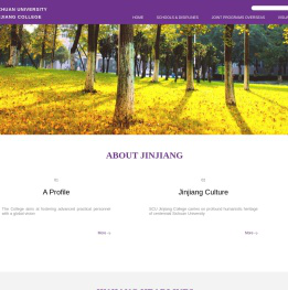 四川大学锦江学院