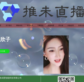 武汉推未图智能科技有限公司