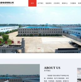 硅橡胶电缆,低烟无卤电缆,预分支电缆