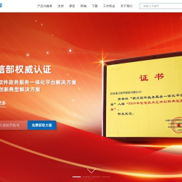 国泰新点软件股份有限公司