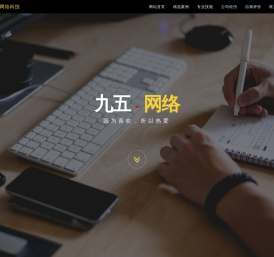 九五网络科技