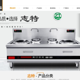 潍坊志特环保科技有限公司