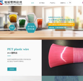 临海塑料丝厂家