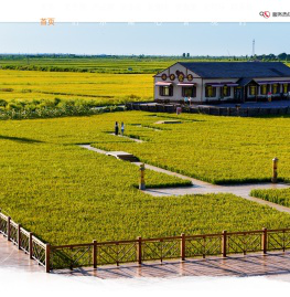 盘锦阳光米业有限公司