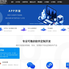 上海APP开发公司