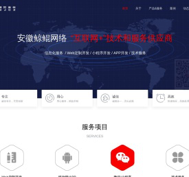 安徽鲸鲲网络科技有限公司